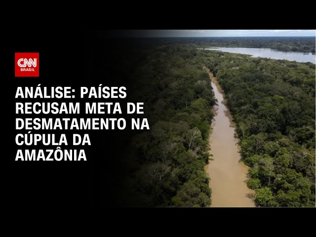 Análise: Países recusam meta de desmatamento na Cúpula da Amazônia | WW