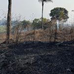 Ministério do Meio Ambiente culpa as mudanças do clima e o El Niño pelo aumento de queimadas na Amazônia