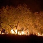 Quase mil hectares foram queimados em fevereiro em todo o Brasil, aponta Ipam
