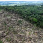 Garimpo, madeira e grilagem: pesquisa liga crimes ambientais e caminho do dinheiro na Amazônia