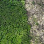 Desmatamento em Terras Indígenas da Amazônia é o menor desde 2018