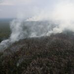 Ibama se reúne com comissão da Câmara para discutir aumento de queimadas na Amazônia