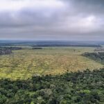 União Europeia fará doação de R$ 120 milhões ao Fundo Amazônia